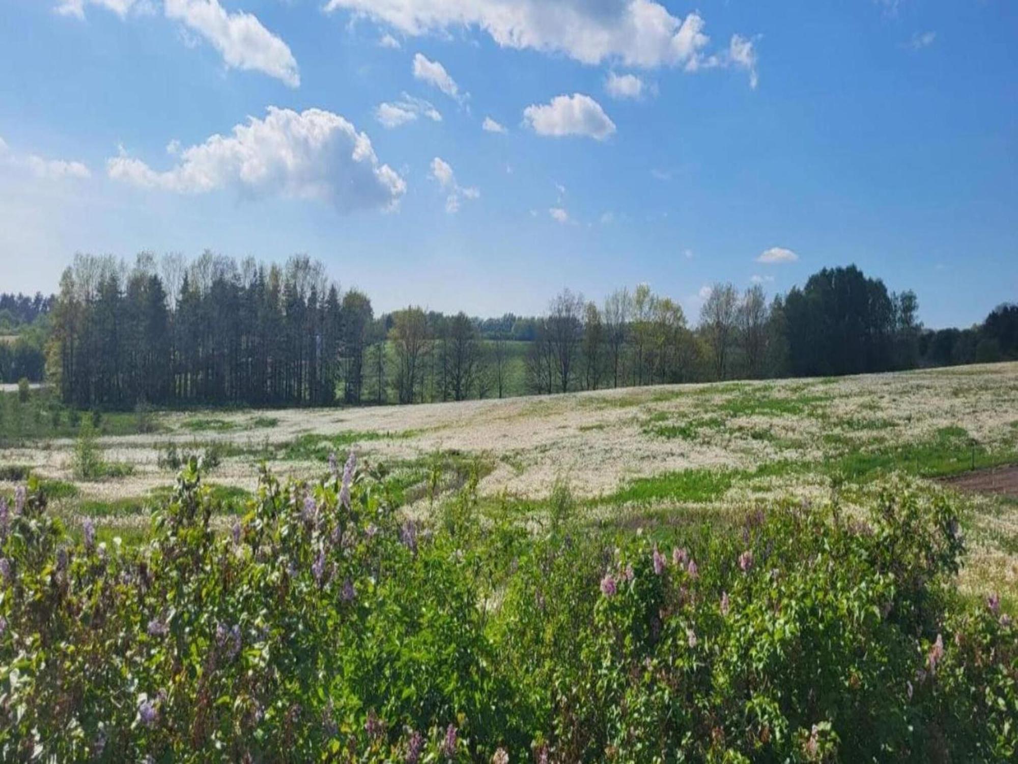 Lysbjerg Apartment Fåborg Екстериор снимка